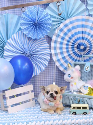 20231105ｍomoちゃん